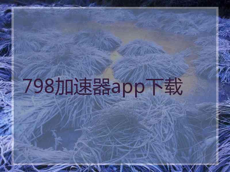 798加速器app下载