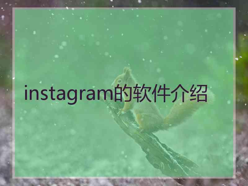 instagram的软件介绍