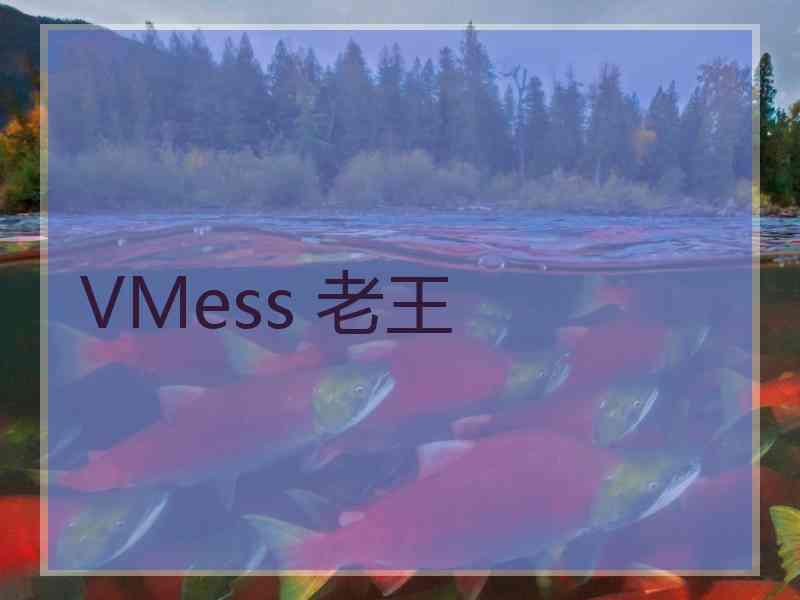 VMess 老王