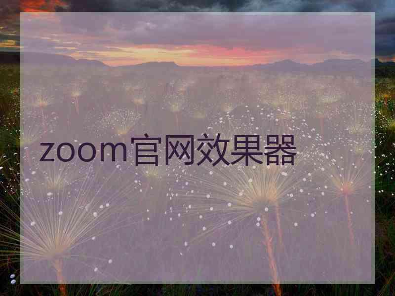 zoom官网效果器