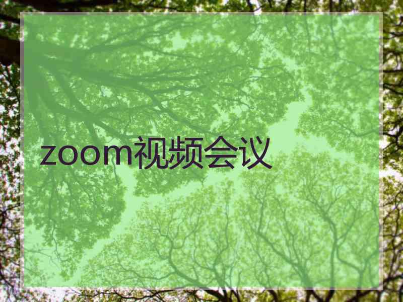 zoom视频会议