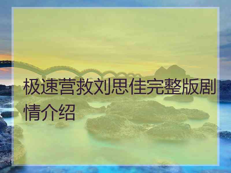 极速营救刘思佳完整版剧情介绍