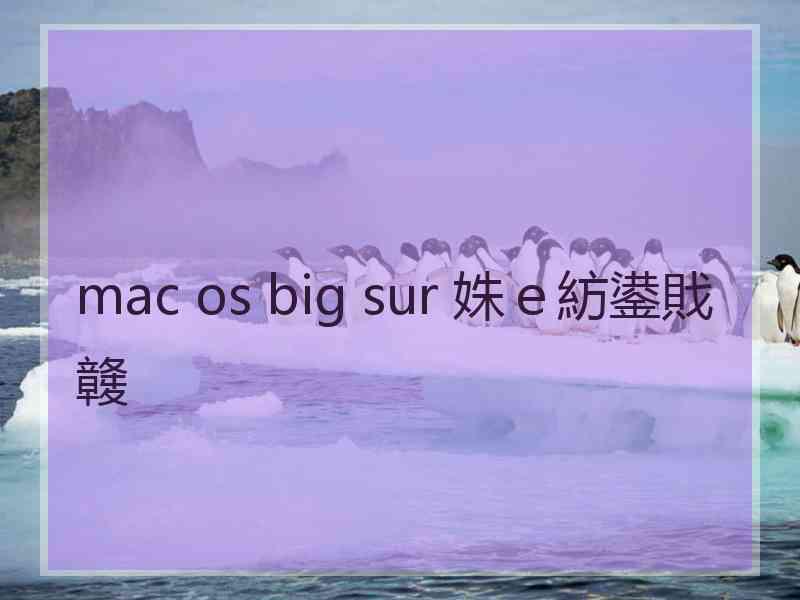 mac os big sur 姝ｅ紡鍙戝竷