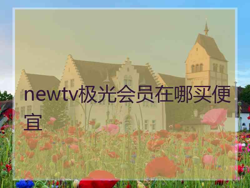 newtv极光会员在哪买便宜