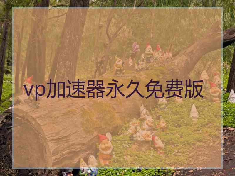 vp加速器永久免费版