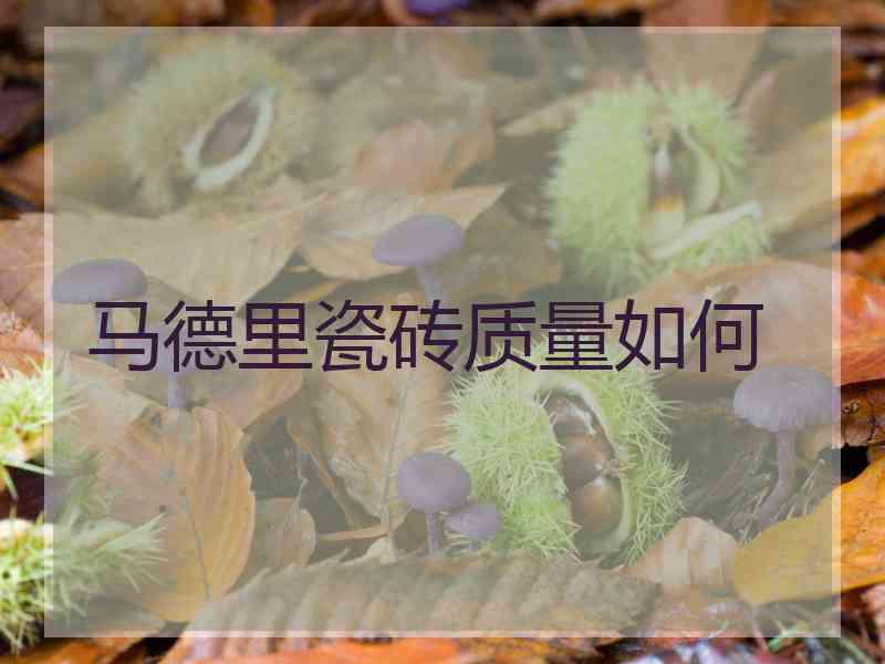 马德里瓷砖质量如何