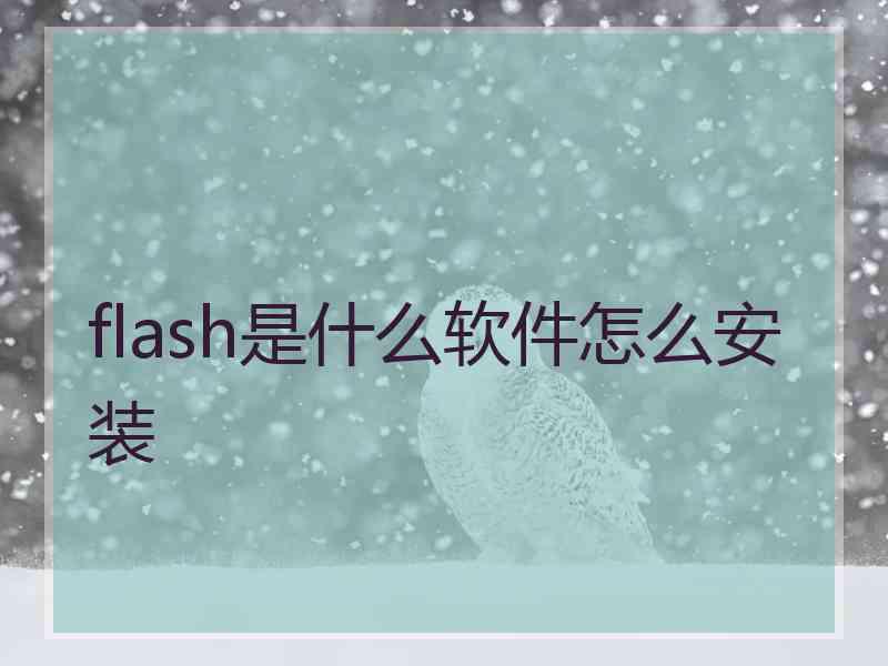 flash是什么软件怎么安装