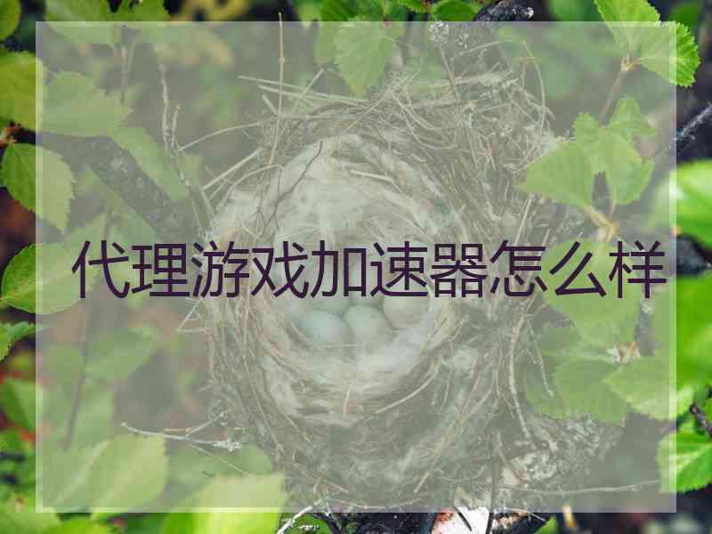 代理游戏加速器怎么样