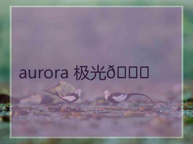 aurora 极光🍑