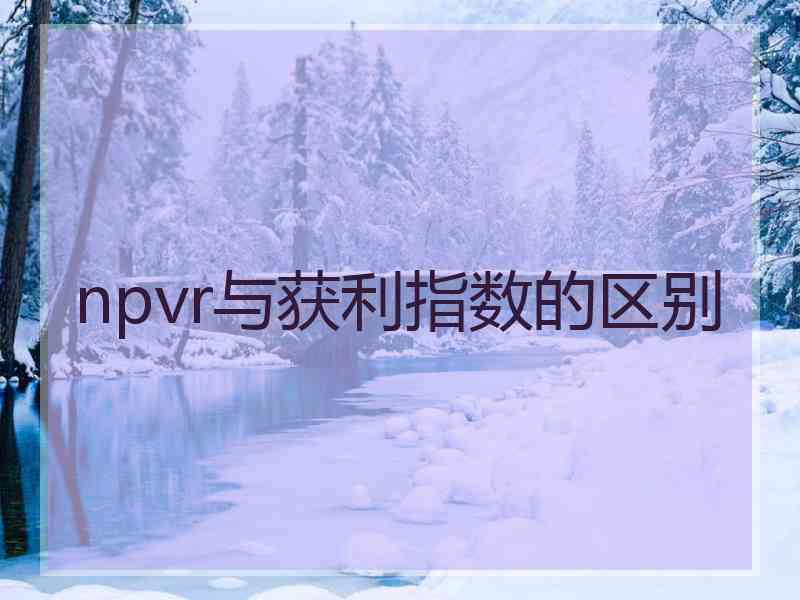 npvr与获利指数的区别