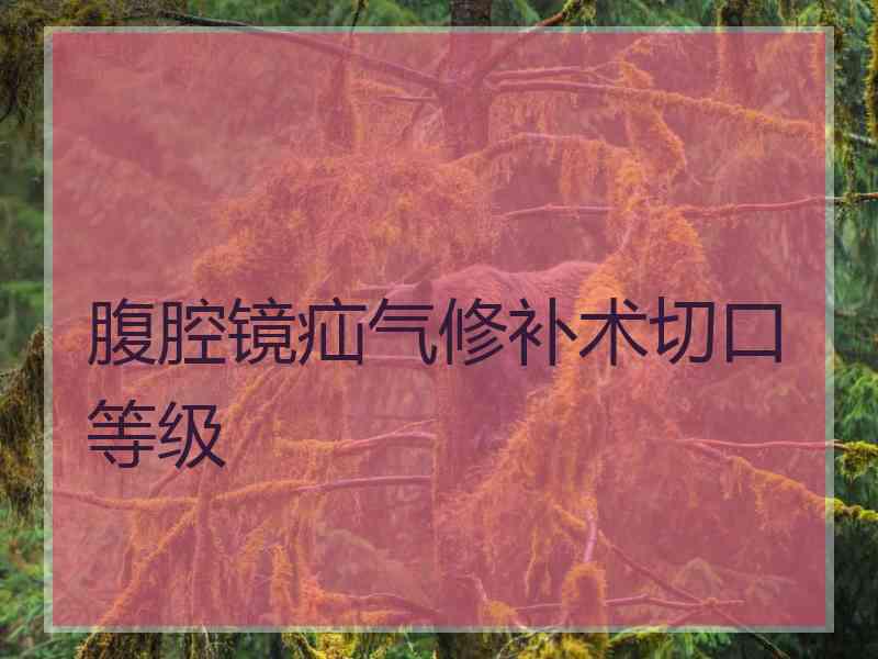 腹腔镜疝气修补术切口等级