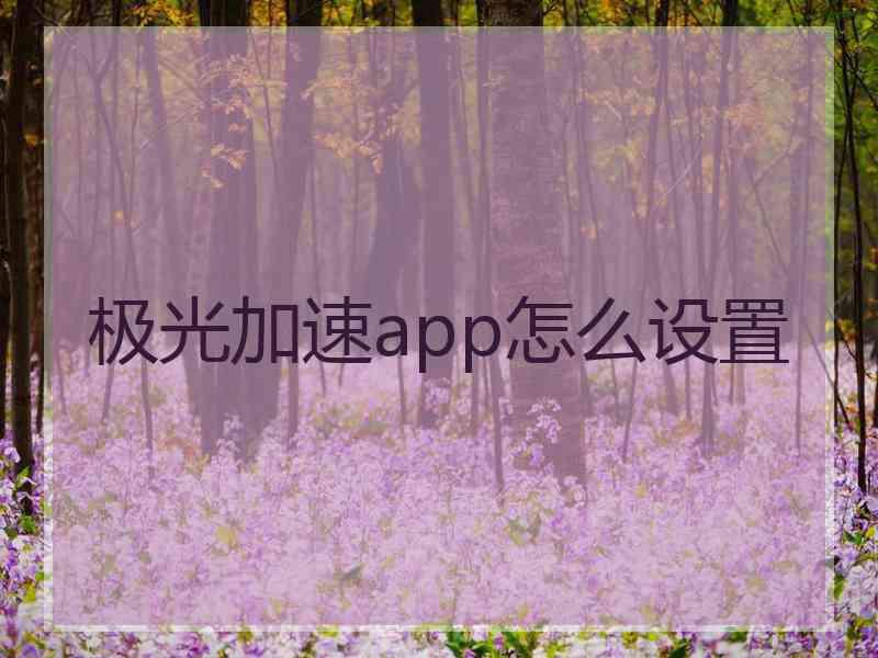 极光加速app怎么设置