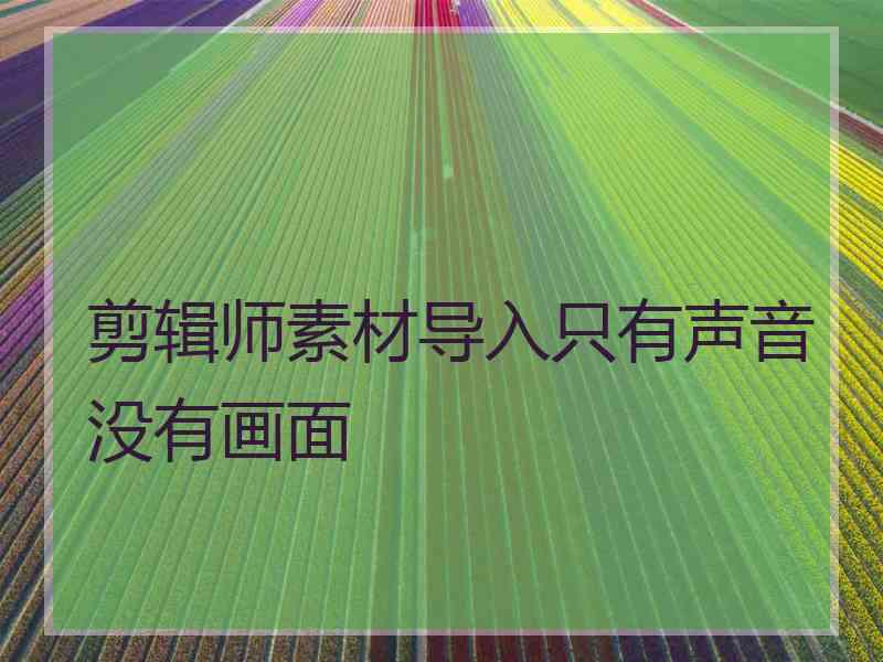 剪辑师素材导入只有声音没有画面