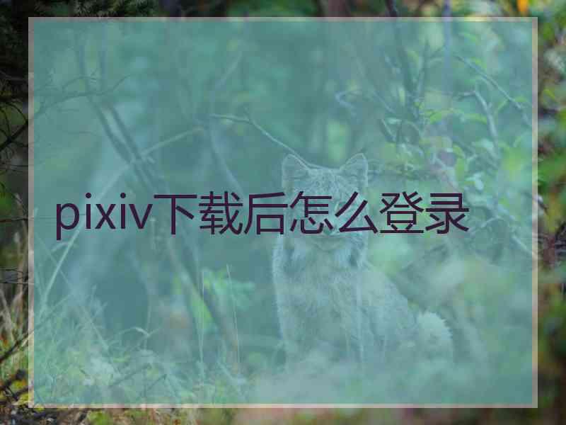 pixiv下载后怎么登录