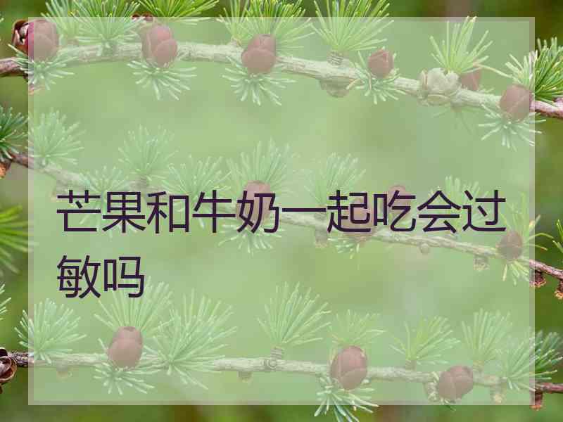 芒果和牛奶一起吃会过敏吗