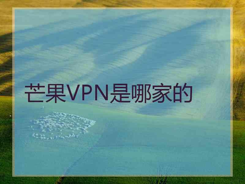 芒果VPN是哪家的