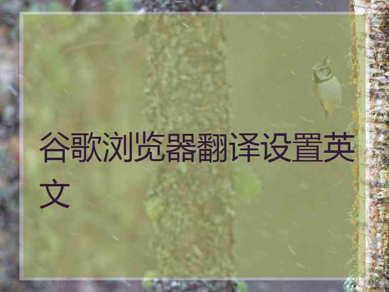 谷歌浏览器翻译设置英文