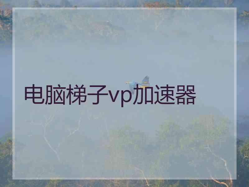 电脑梯子vp加速器