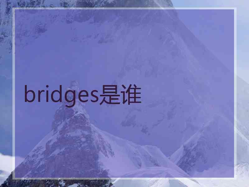 bridges是谁