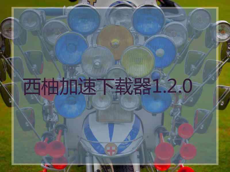 西柚加速下载器1.2.0