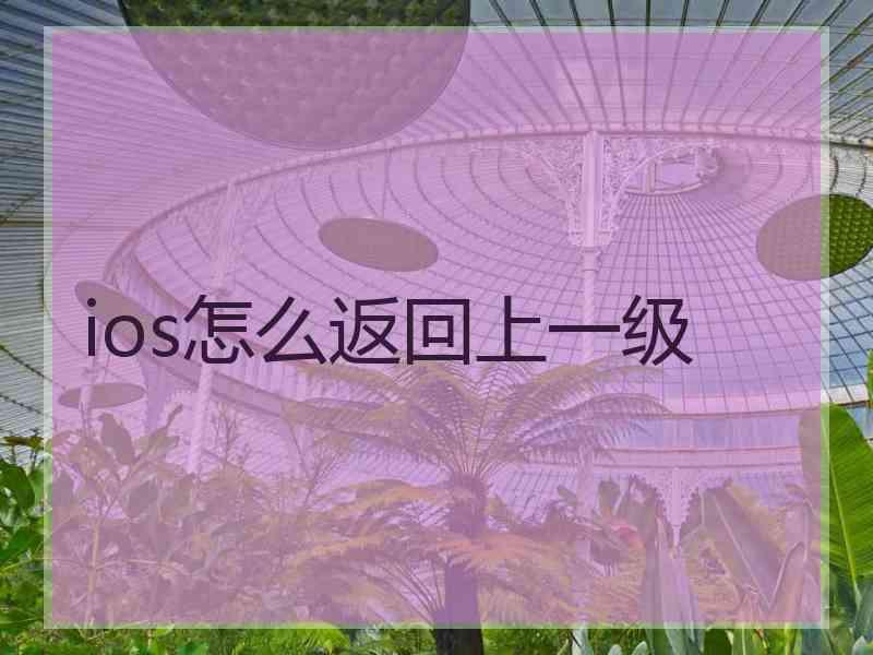 ios怎么返回上一级