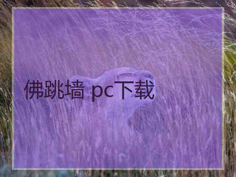 佛跳墙 pc下载