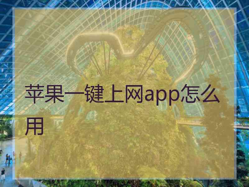 苹果一键上网app怎么用