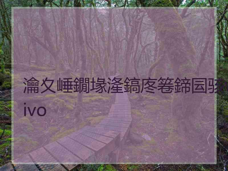 瀹夊崜鐗堟湰鎬庝箞鍗囩骇vivo