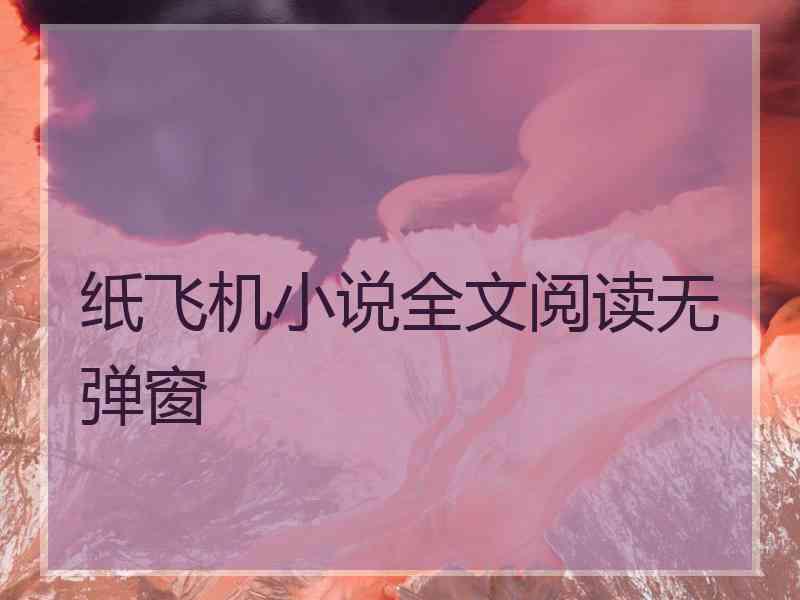 纸飞机小说全文阅读无弹窗