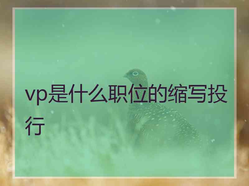 vp是什么职位的缩写投行