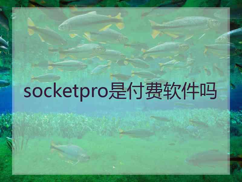 socketpro是付费软件吗