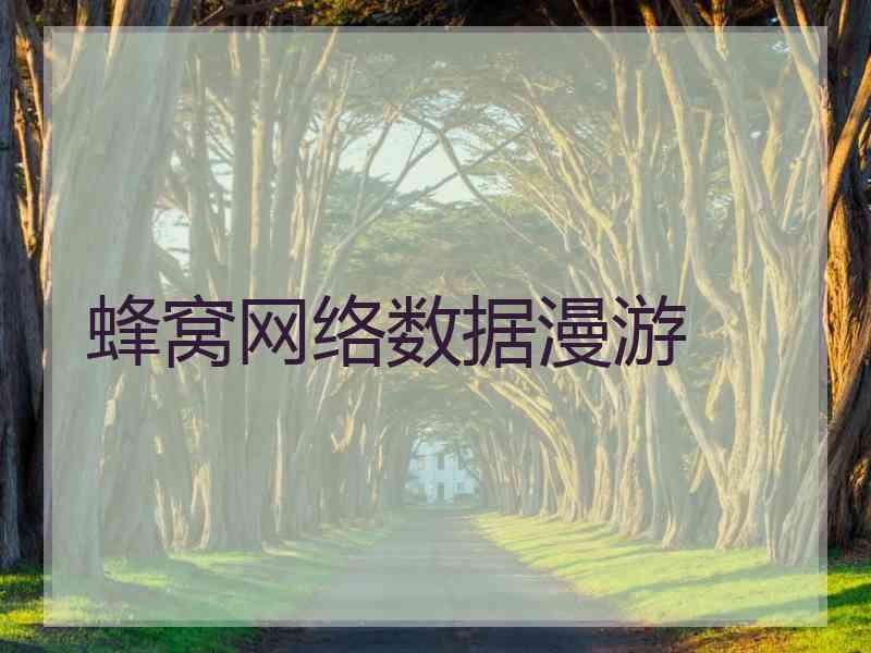 蜂窝网络数据漫游