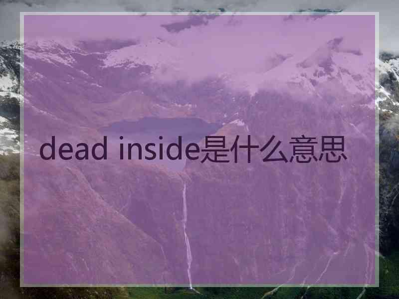 dead inside是什么意思