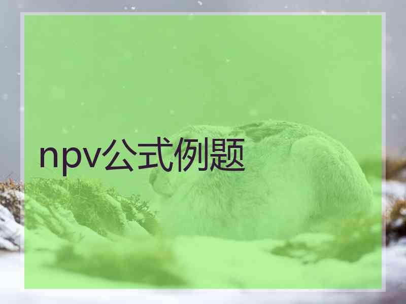 npv公式例题