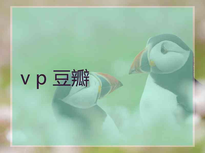 v p 豆瓣