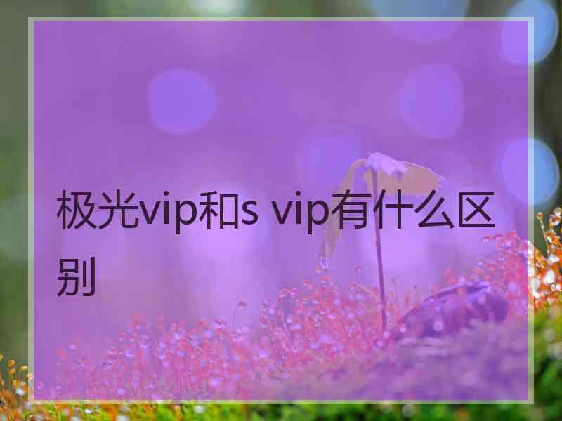 极光vip和s vip有什么区别