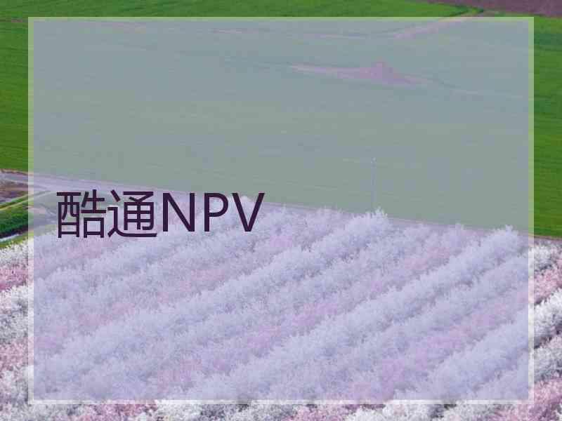 酷通NPV