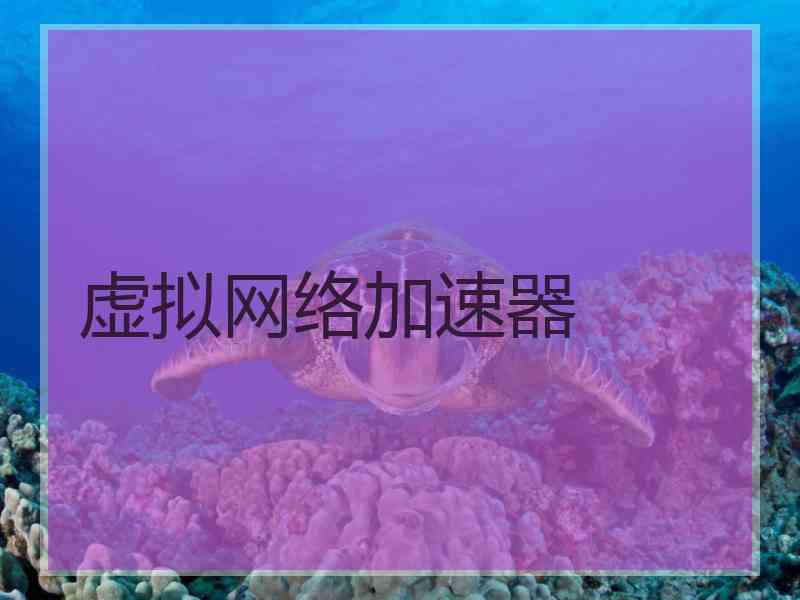 虚拟网络加速器