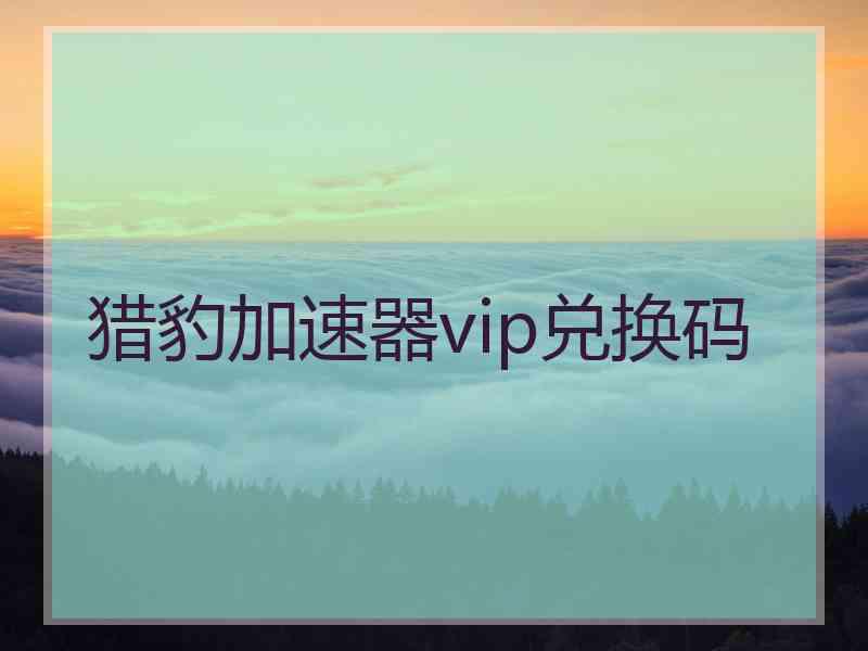 猎豹加速器vip兑换码