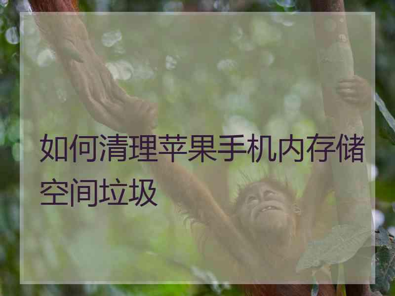 如何清理苹果手机内存储空间垃圾