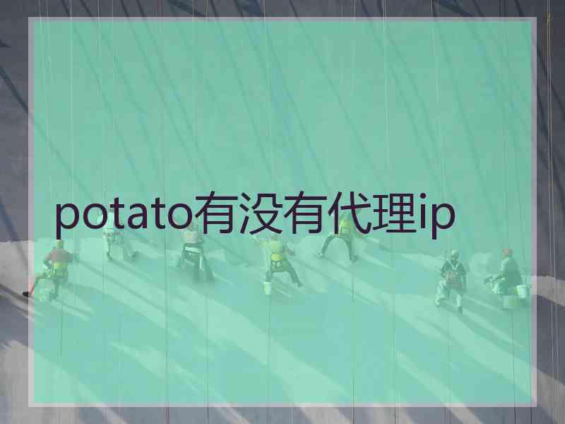 potato有没有代理ip