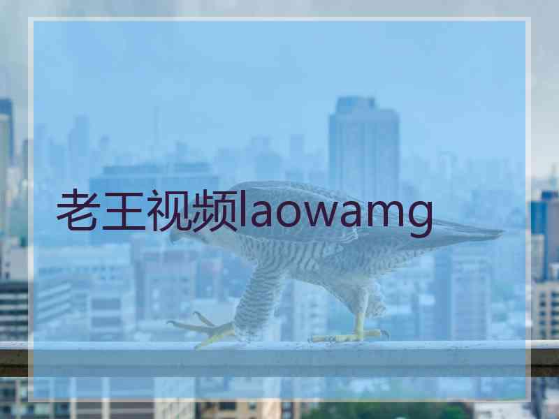 老王视频laowamg