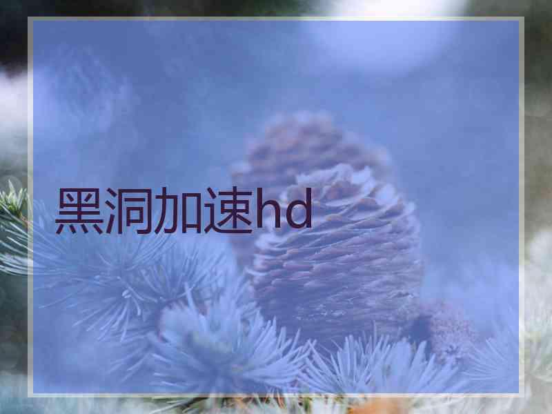 黑洞加速hd