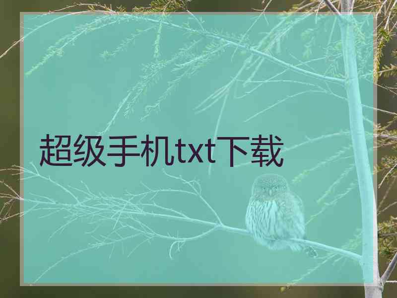 超级手机txt下载