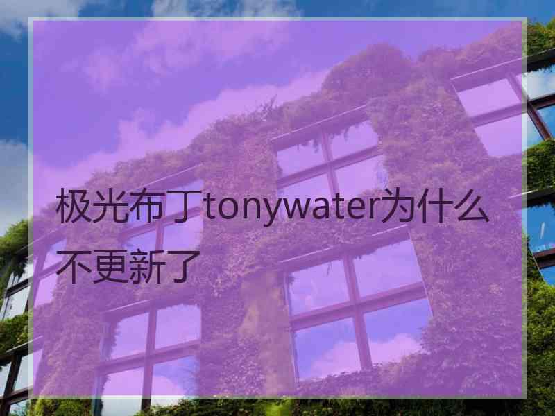 极光布丁tonywater为什么不更新了