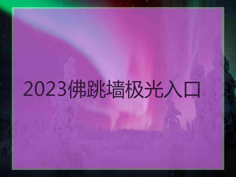 2023佛跳墙极光入口