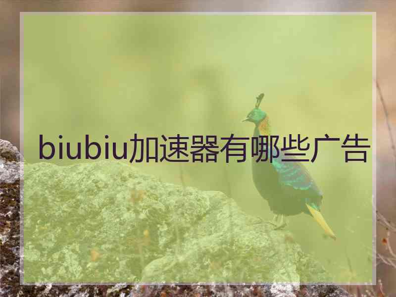 biubiu加速器有哪些广告