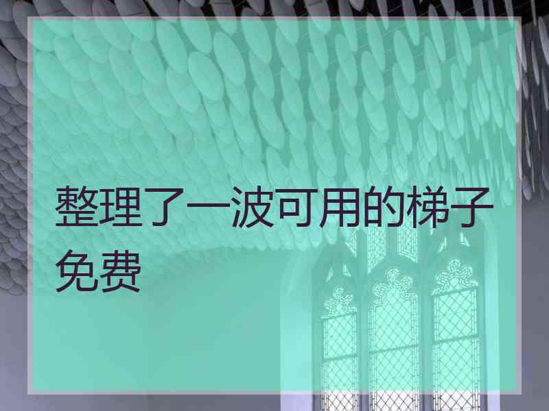 整理了一波可用的梯子免费