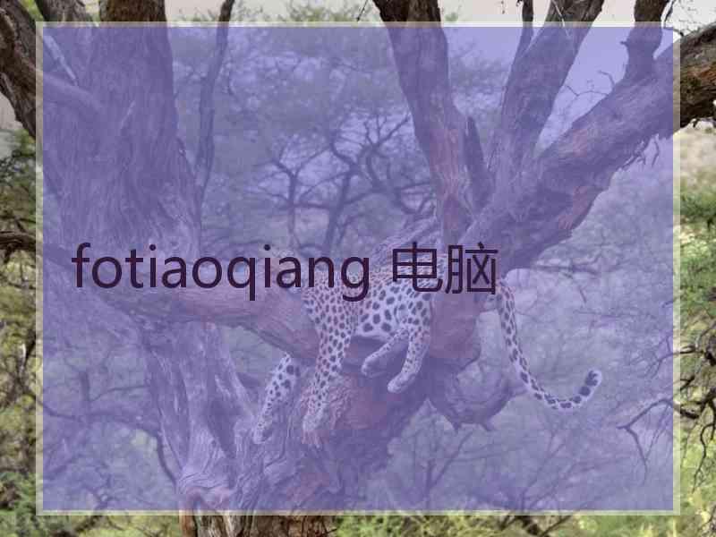 fotiaoqiang 电脑