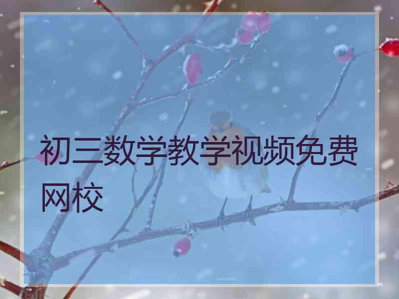 初三数学教学视频免费网校